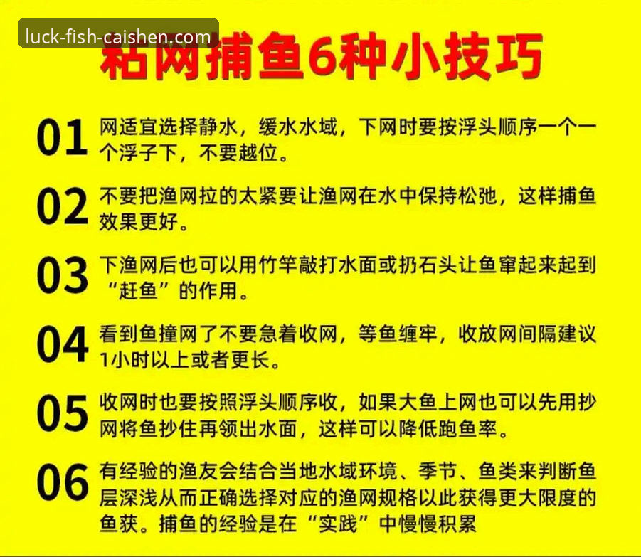 资深玩家分享：财神捕鱼捕鱼神器安装教程与实战使用心得
